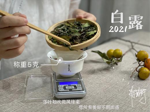 【1斤装】带着花蜜般的鲜甜，2021白露茶带来独特甜花香 商品图4