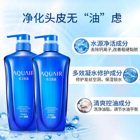 资生堂 水之密语 净润臻养洗发露