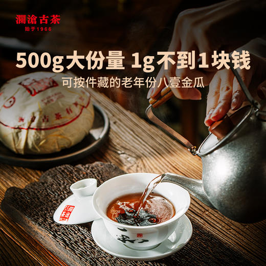 【老茶推荐】澜沧古茶2016年八壹金瓜500g 商品图2