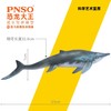 PNSO喜马拉雅鱼龙图桑恐龙大王成长陪伴模型55 商品缩略图1