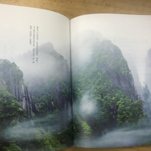 【“云端书展”专区】独坐羊狮慕  安然/著  非虚构 散文集 文学 自然主义 广西师范大学出版社   商品图3