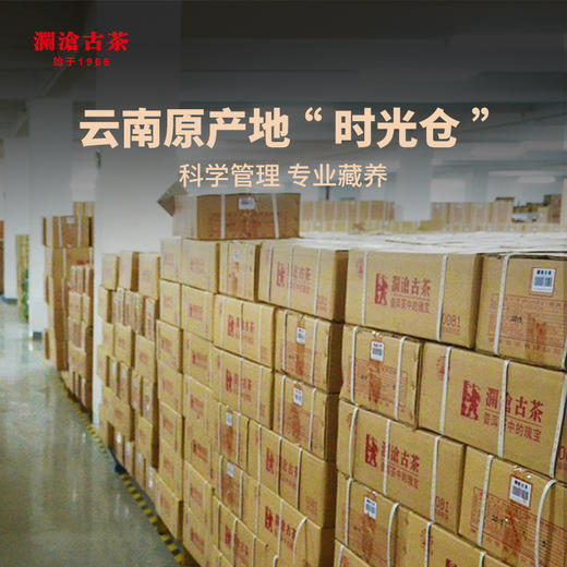 澜沧古茶 2014年0081金瓜旺才普洱茶熟茶沱茶1000g 商品图3