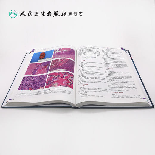 临床病理诊断与鉴别诊断泌尿及男性生殖系统疾病  商品图4