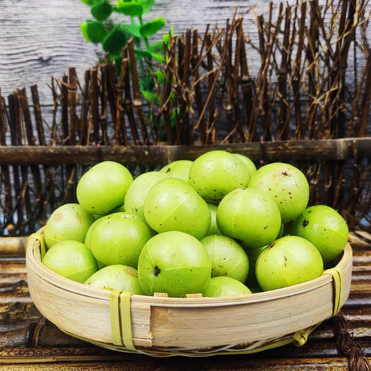 李明泡橄榄云南新鲜腌制水果甜脆个旧酸甜脆油甘滇油柑