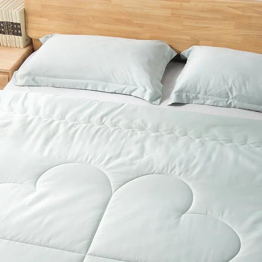 【断货】正安优选·艾草精油艾绒秋冬被，里外都是“艾”精华，在睡眠中远离寒湿 商品图1