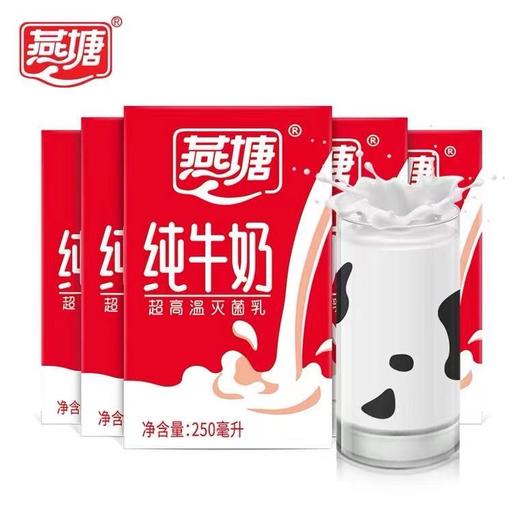 【特价】燕塘 纯奶口味  （250mlx16盒） 商品图2