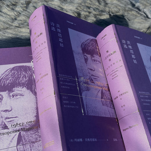 文学纪念碑  致一百年以后的你：茨维塔耶娃诗选 商品图3