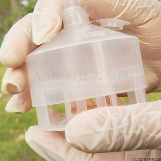 红火蚁采集器、监测器（10个150元，包邮) 商品图2