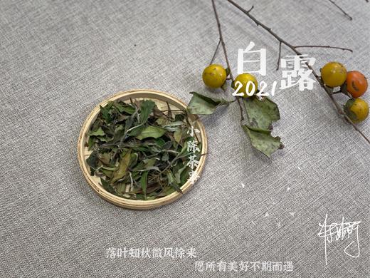 【1斤装】带着花蜜般的鲜甜，2021白露茶带来独特甜花香 商品图2
