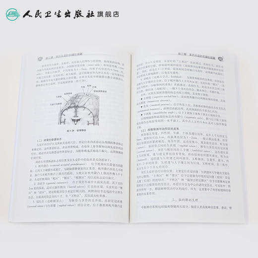 基础学分册 商品图4