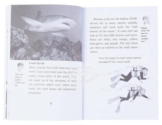 预售 【中商原版】神奇树屋小百科系列1-15册 Magic Tree House Fact Tracker 15册 商品图6