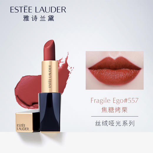 【中欧班列精选】Y BF 雅诗兰黛口红倾慕唇膏 持久保湿  #557  3.5g/支 商品图1