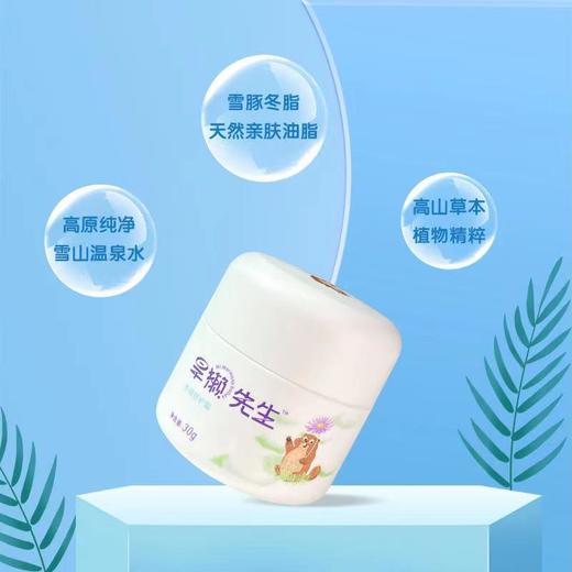 【已下架】旱獭先生 多效舒护霜30g [A类] 商品图2