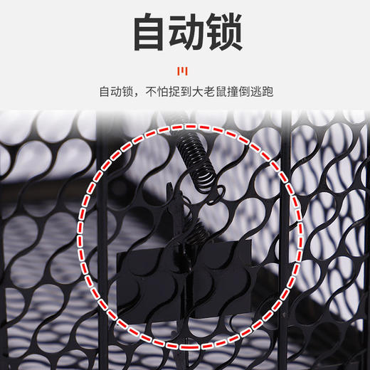 老鼠笼捕鼠器捉耗子神器捕鼠笼 商品图2