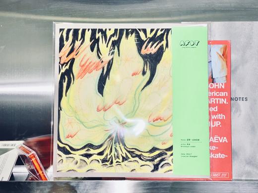 AFDT唱片画『 坚硬一点也无妨』▏12寸 商品图1