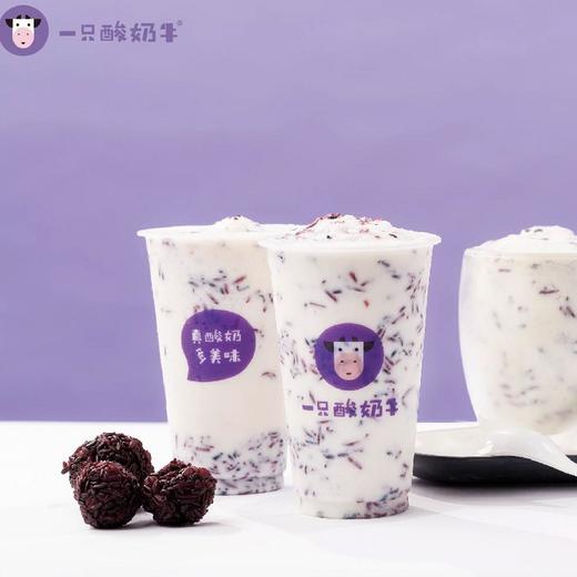 【抢购双11 就现在】美丽市场-一只酸奶牛-酸奶紫米露 商品图0