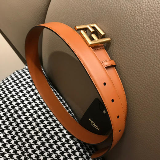 前所未有的福利！FD腰带 三个颜色都是超级耐看高级！扛打的金刚颜色！金棕 大象灰 黑色！双F扣 你们看 很奇特 在腰间 有一种悬浮感！绝了！ 商品图1