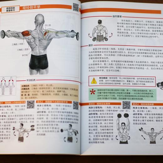 力量训练解剖全书 商品图3