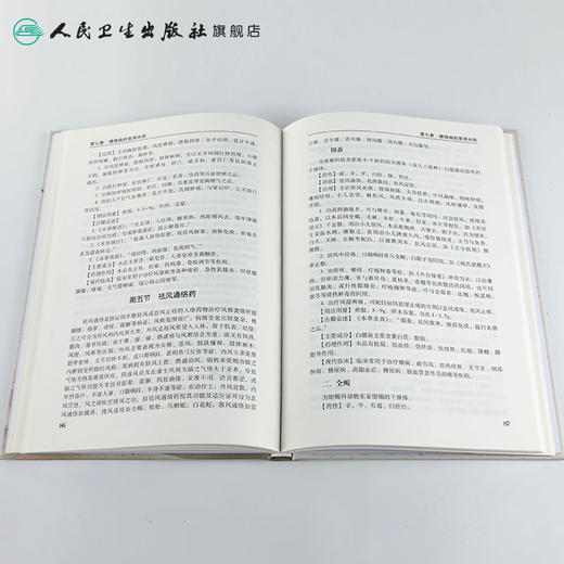 [旗舰店 现货]络病理论与痹证治疗 吕晓东 马宝东 主编 9787117260961 内科学 2018年3月参考书 人民卫生出版社 商品图4