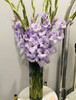 香芋紫剑兰（5月27日下午取花），超美超喜欢，花瓣的纹路像被画师细细描绘过，一束5支原价68元，团购价18元 商品缩略图6