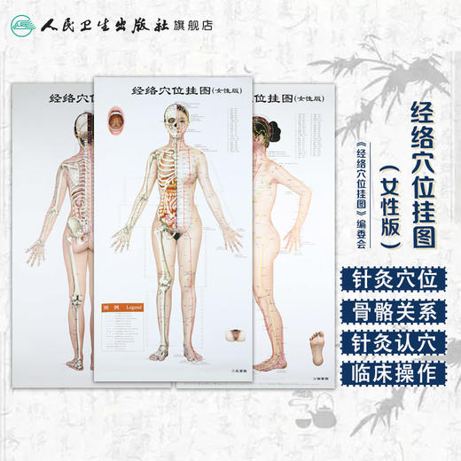 经络穴位挂图（女性版） 人卫社参考书 商品图1