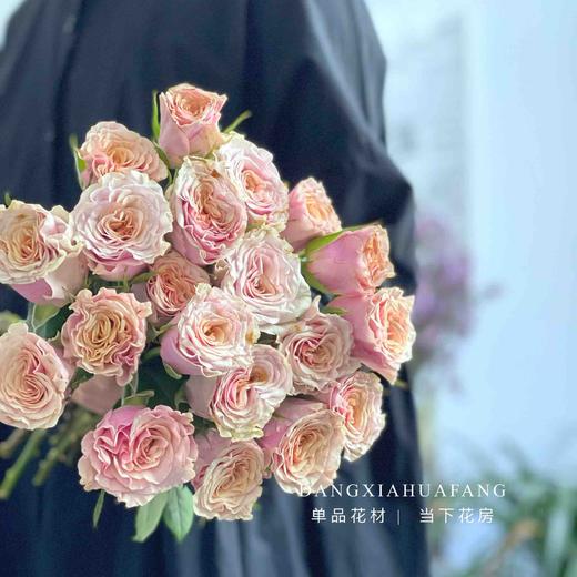 【旧时光玫瑰.7份福利秒杀】18支送2支/份   颜色像微微泛黄的老照片   带点复古感的粉橙复色 商品图8