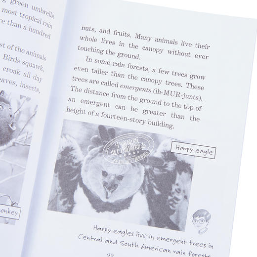 预售 【中商原版】神奇树屋小百科系列1-25册 Magic Tree House Fact Tracker 25册 商品图7