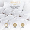 【48小时发货】自然醒羽绒被95%白鹅绒被芯冬被被子棉被ZH 商品缩略图1