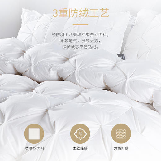 【48小时发货】自然醒羽绒被95%白鹅绒被芯冬被被子棉被ZH 商品图1