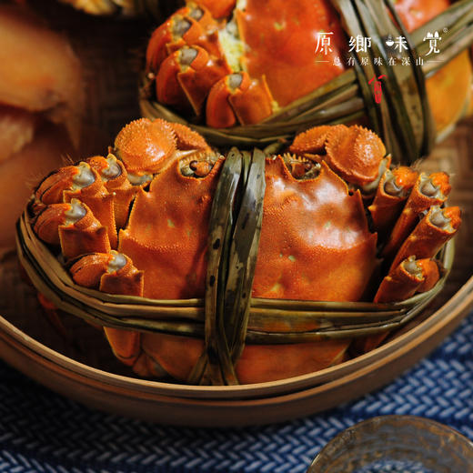 【买一箱送一只2.5两母蟹】有机大闸蟹（基地直发-顺丰包邮） | 多种规格，来自安徽当涂，生产者：霍大文【合作生产，公平贸易】 商品图11