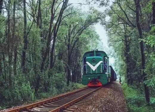 户外@【轻奢赏秋】南雄银杏+醉美铁路，入住汤溪温泉 2天 商品图5