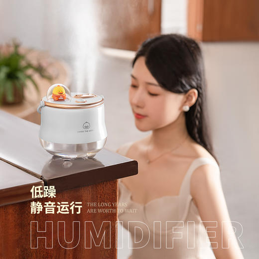 艾克家族潮萌双喷加湿器（带电款）IFJSQ04家用桌面USB补水仪创意无线便携夜灯可爱 商品图4