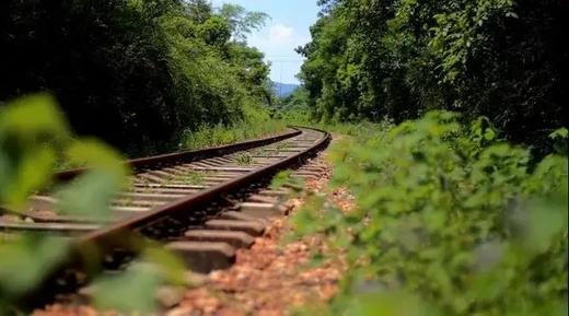 户外@【轻奢赏秋】南雄银杏+醉美铁路，入住汤溪温泉 2天 商品图4