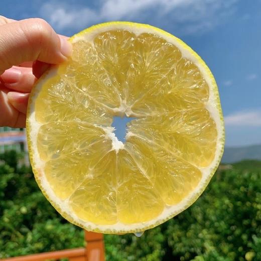 福建黄金葡萄柚  3-8斤装（剥柚子一样，不要刀切） 商品图13