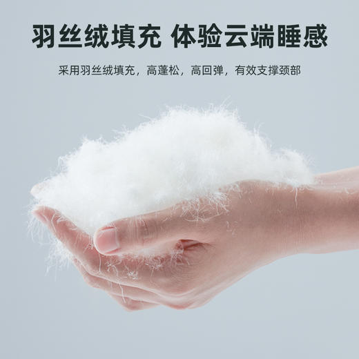 [酒店同款]百士德BEST五星酒店枕芯-羽丝绒枕芯100%纯棉防羽布 商品图4