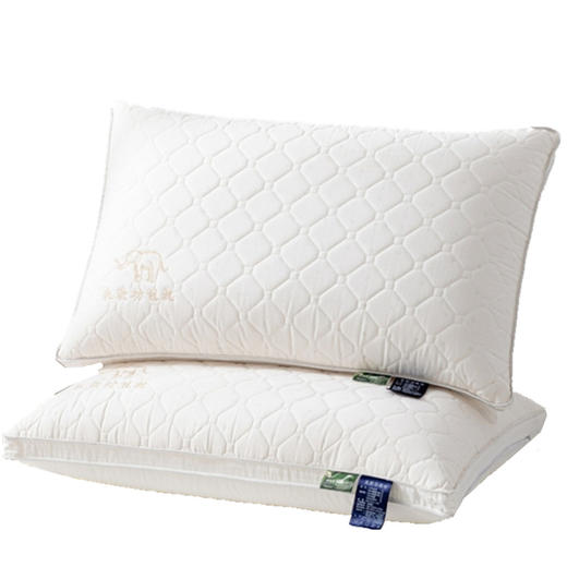 自然醒高弹乳胶功能枕防48*74cm螨舒睡枕头芯护颈椎枕头舒芯梦乡高弹助睡眠单人48*74cm枕芯SXM 商品图4