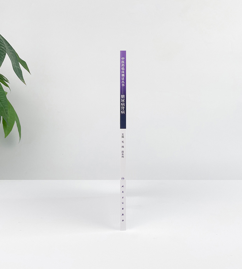 中医药临床循证丛书——糖尿病肾病9787117281188_06.jpg