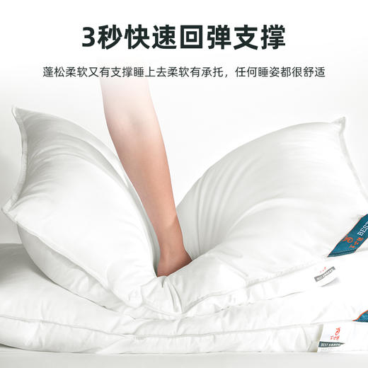 [酒店同款]百士德BEST五星酒店枕芯-羽丝绒枕芯100%纯棉防羽布 商品图3