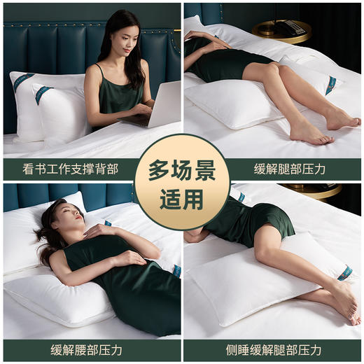 [酒店同款]百士德BEST五星酒店枕芯-羽丝绒枕芯100%纯棉防羽布 商品图1