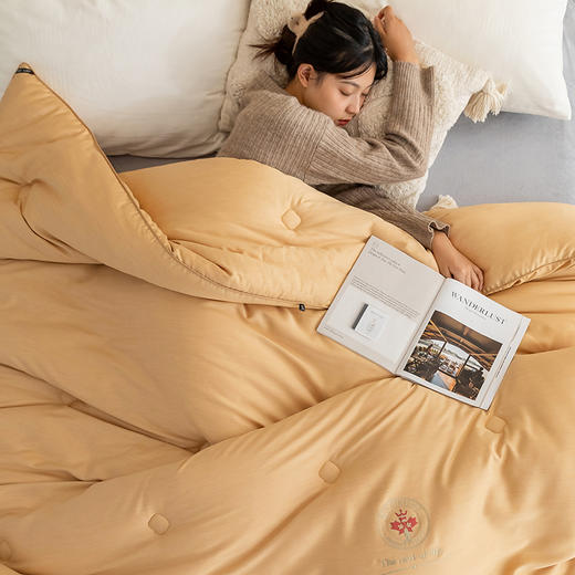 自然醒柔护养参被子加厚保暖抗寒冬被人参滋补被双人加大冬季被LFS 商品图3
