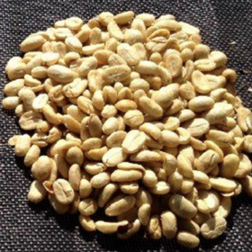 日签｜哥斯达黎加蜜处理之白蜜