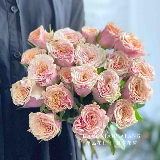 【旧时光玫瑰.7份福利秒杀】18支送2支/份   颜色像微微泛黄的老照片   带点复古感的粉橙复色 商品图0