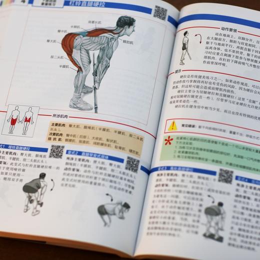 力量训练解剖全书 商品图4