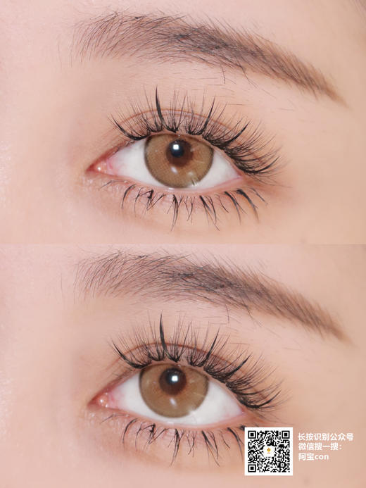 Persian cat 波斯猫【硅水凝胶】 商品图0