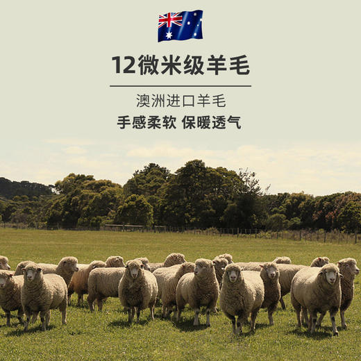 HSIA遐德绒保暖女士轻薄秋冬款圆领无痕打底内衣羊毛秋衣秋裤套装 商品图3