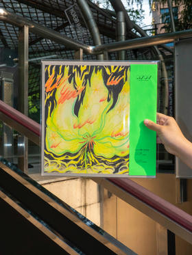 AFDT唱片画『 坚硬一点也无妨』▏12寸