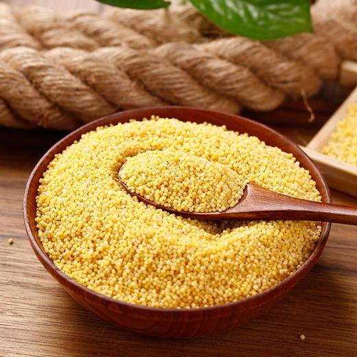 良农嫁稻 中国农垦 有机杂粮黄小米 东北小米 0添加 400g*2袋 商品图3