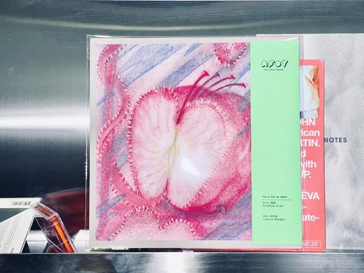 AFDT唱片画『 not an apple』▏12寸 商品图1