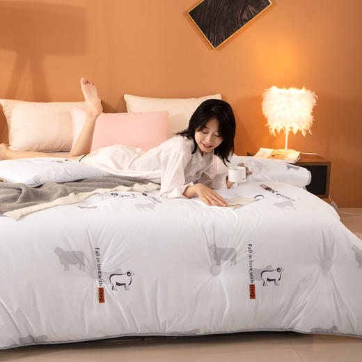 会呼吸的羊毛被 澳洲水洗羊毛被 吸湿透气 亲肤舒适面料 保暖被冬被 防潮透气 商品图4