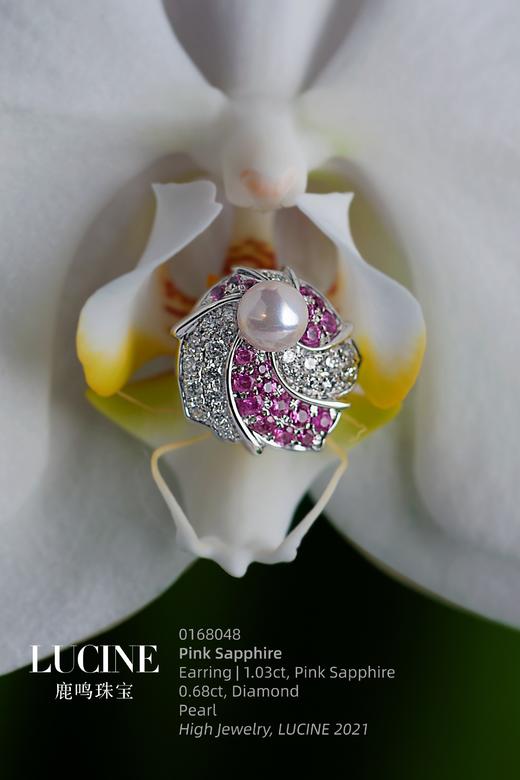 LUCINE高级珠宝｜《蝶语》耳拍 商品图0